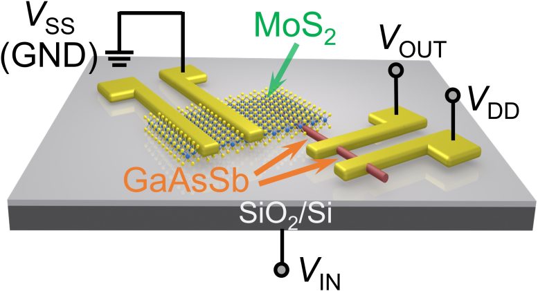 Schematic Diagram of the GaAsSbMoS2 Heterojunction Based Ternary Inverter