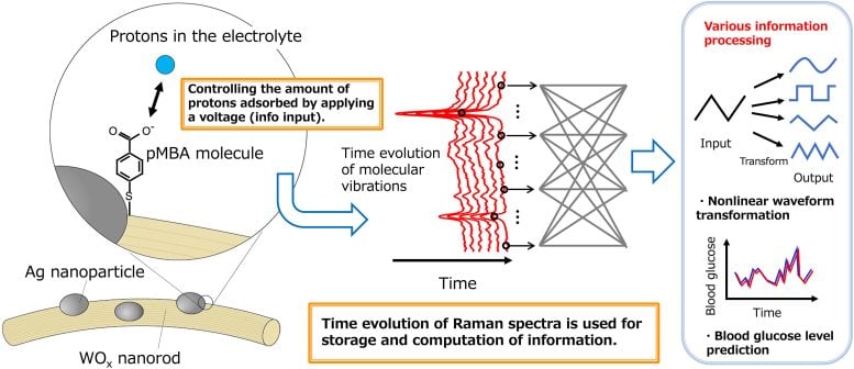 The Deployment of Few Molecule Reservoir Computing Harnessing Surface Enhanced Raman Scattering for Predicting Blood Glucose Levels