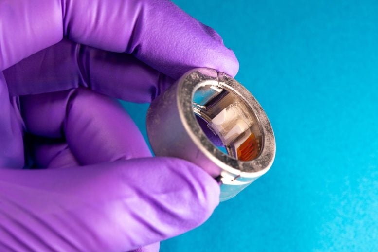 Main Biomarker Ring